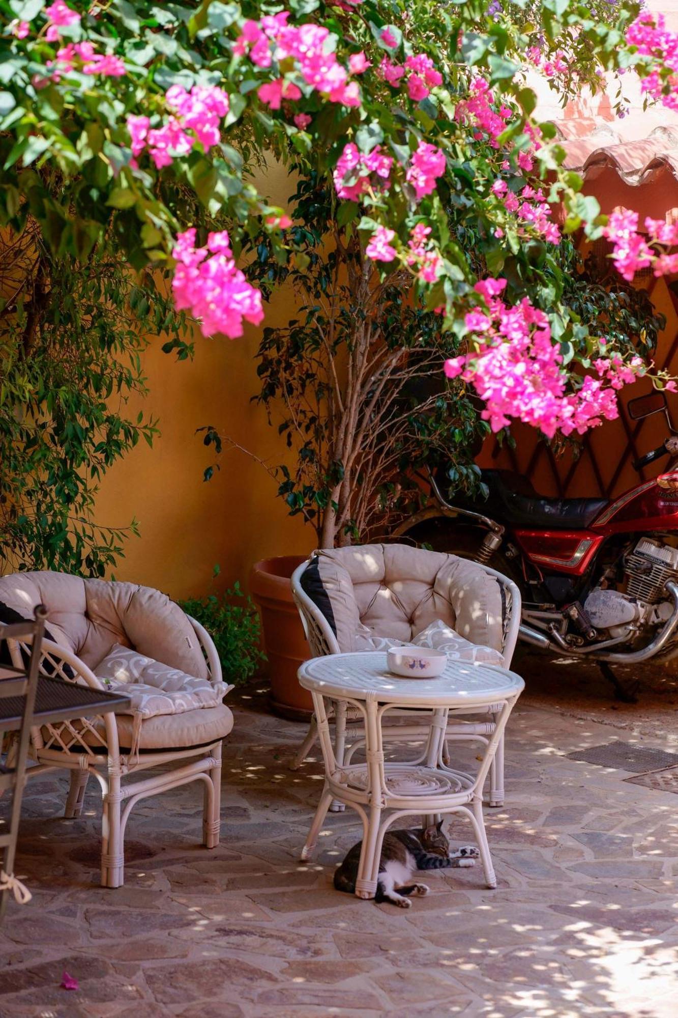 Il Piccolo Giardino Rooms & Breakfast Villasimius Exterior photo