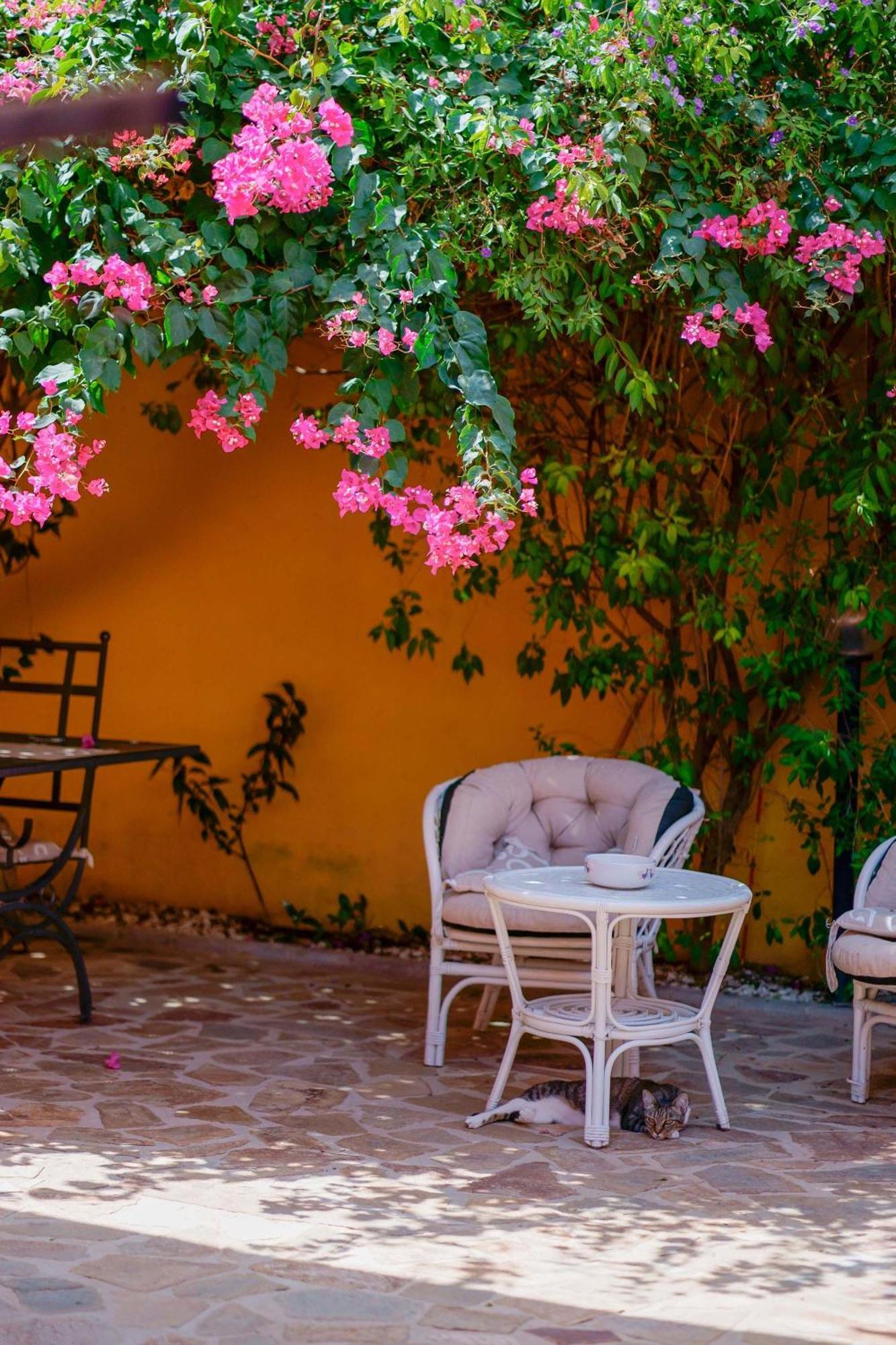 Il Piccolo Giardino Rooms & Breakfast Villasimius Exterior photo