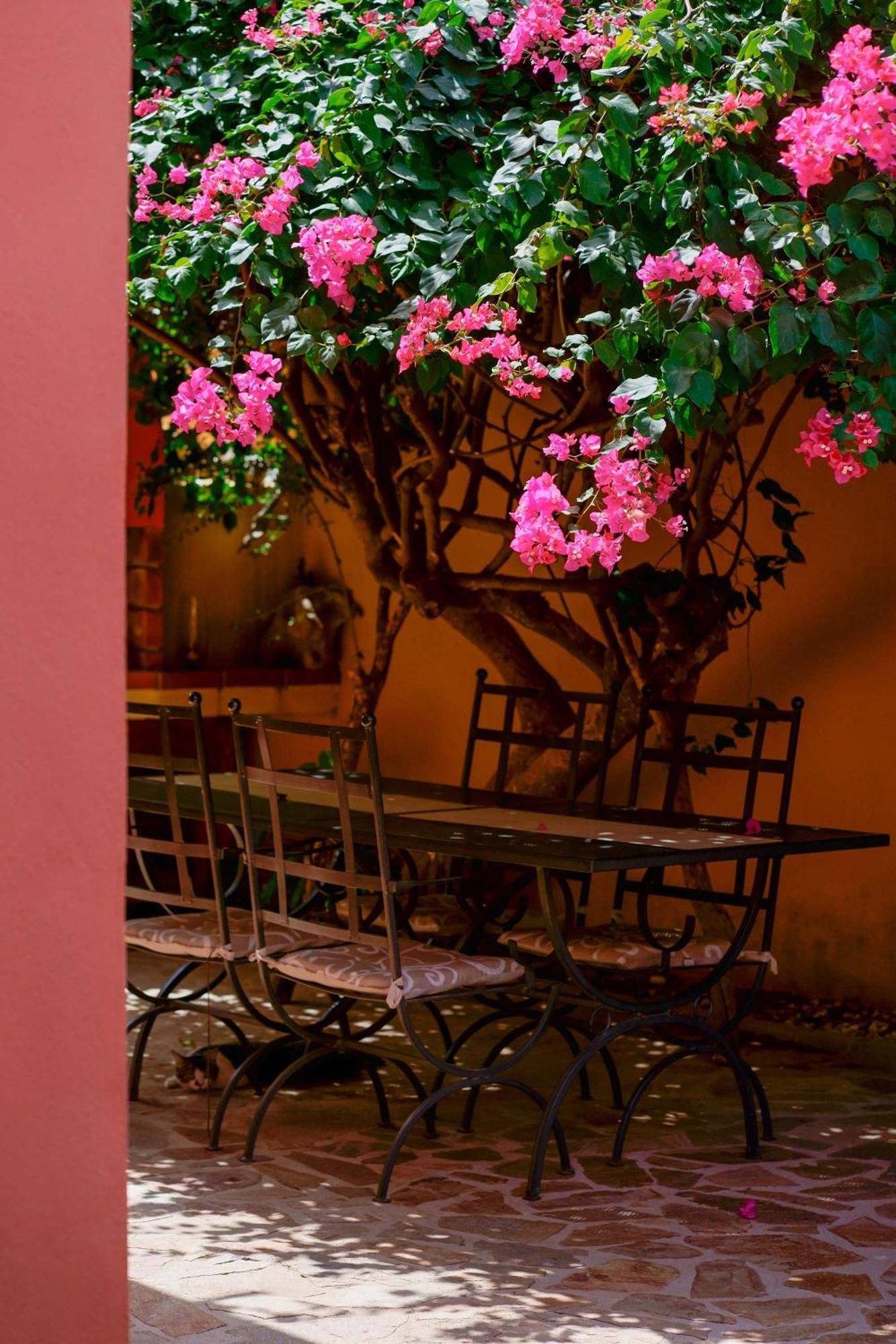 Il Piccolo Giardino Rooms & Breakfast Villasimius Exterior photo