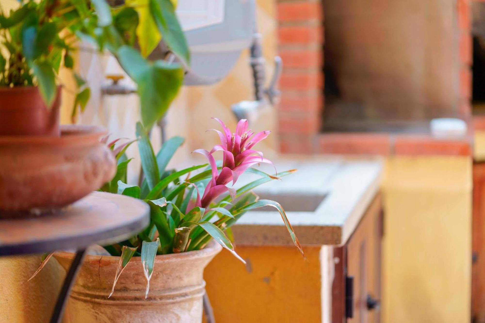 Il Piccolo Giardino Rooms & Breakfast Villasimius Exterior photo